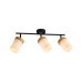 Aplica Frosted AP3 Negru, Natur 163022 Klausen - imagine 1